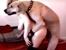 Young girl in animal sex action